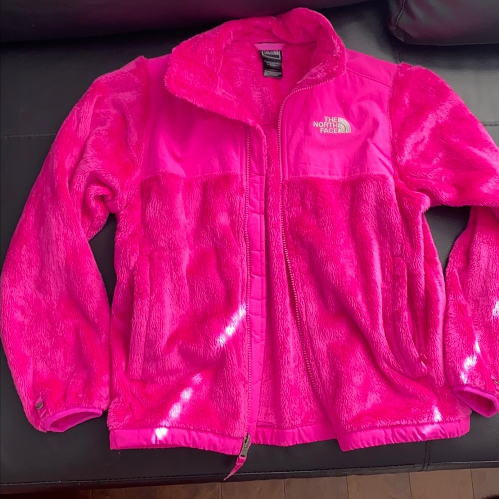The north face jacket